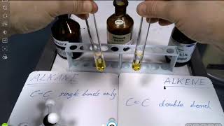 Test for alkane vs alkene using bromine [upl. by Bogie612]