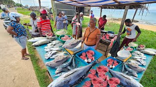 Wow Village Super ASMR Satisfying Fish Cutting Skills In Sri lankan Fish Market [upl. by Domeniga]