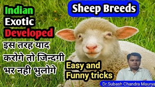 Sheep Breeds in india exotic and cross breed Easy and funny trick to learn all sheep breedsLDO [upl. by Avah]