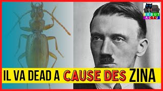 CET INSECTE POURRAIT DISPARAÎTRE À CAUSE DES NÉO ZINA [upl. by Graybill876]