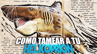 COMO TAMEAR A TU HELICOPRION  Ark Additions  Guia Español  Ark Survival AscendedEvolved [upl. by Ennasirk]