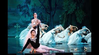 Giselle Ballet  Full Performance  Live Ballet [upl. by Hachmann598]