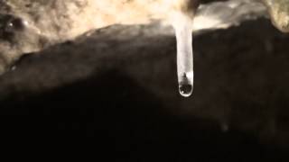 Stalactite en formation  slow motion [upl. by Artenehs357]