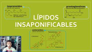 Todo lo que necesitas saber sobre lípidos insaponificables Vídeo6lípidos Biología 2º Bachillerato [upl. by Shumway]