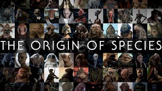 The Origin of Species How to Design a Star Wars Alien [upl. by Jaime]