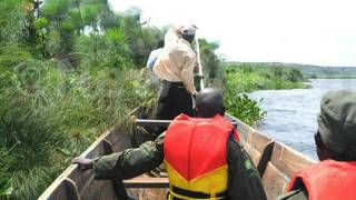 Worlds Largest Maneating Crocodile Captured In Uganda By Uganda Wildlife Authority UWA Officials [upl. by Ainet]