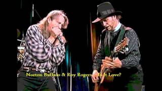 Norton Buffalo amp Roy Rogers  Is It Love  1993 [upl. by Risan175]