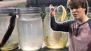 I left fishing Lures in a jar for a FULL YEAR [upl. by Tammany]