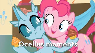 Ocellus moments [upl. by Ramsey]