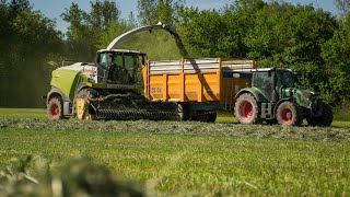 Ensilage dherbe  Claas Jaguar 970 et 890  ETA Tafforin [upl. by Dnomyar]