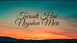 Tarasti hain nigaahein meri Song  Lyrics galat fehmi  Asim Azhar Song [upl. by Llevaj823]