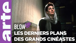 Les Derniers plans des grands cinéastes  Blow Up  ARTE [upl. by Teplitz200]