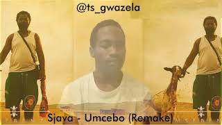 Umcebo  Sjava remake [upl. by Aisetra96]