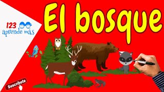 Los BOSQUES para niños 🌳🌲✔️ [upl. by Goodson]