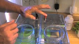 MAKE DISTILLED WATER ALKALINE  WITHOUT ELECTROLYTE  IN 15 MIN  PART 1 [upl. by Vasilis]