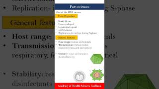 Overview of Parvoviruses  Virology  by Imran Yaseen [upl. by Aratas649]