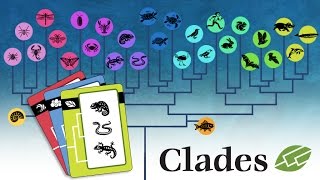 Clades the Evolutionary Card Game Kickstarter 2016 [upl. by Opiuuk]