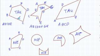 Wielokąty  Matematyka Szkoła Podstawowa i Gimnazjum [upl. by Ardnwahsal]