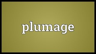 Plumage Meaning [upl. by Amees]