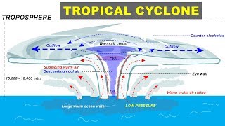 Tropical Cyclone Hurricane Storm Formation explained  Cyclone Biparjay in Arabian Sea Gujarat [upl. by Yelyah]