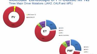 Myeloproliferative Neoplasm Hot Topic [upl. by Ytsur]