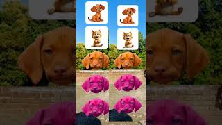 dog head to  monkey cats dog funny vfx magical video 😜 shortsfeed youtubeshorts17 skits [upl. by Inanuah704]