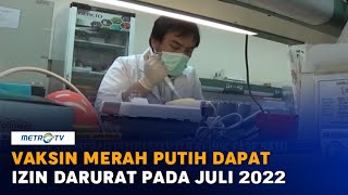 Vaksin Merah Putih Buatan Unair Ditargetkan Dapat Izin Darurat pada Juli 2022 [upl. by Kcirddahc]