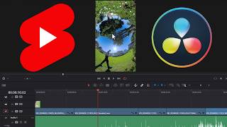 How to Make YouTube Shorts in DaVinci Resolve step by step guide [upl. by Edva]