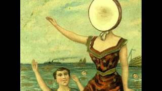 Neutral Milk Hotel  In the Aeroplane Over the Sea  with lyrics [upl. by Ciredor]