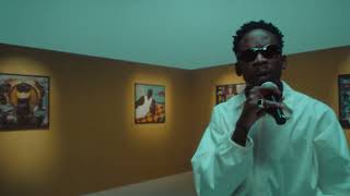 Mr Eazi  Advice Performance Video [upl. by Ringe167]