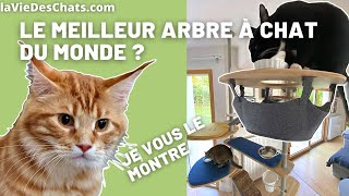 LE MEILLEUR ARBRE À CHAT DU MONDE VRAIMENT  🌍😻 Je le teste pour vous [upl. by Asirak840]