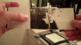 FN3 Contact Printing from Paper Negatives [upl. by Kerad151]