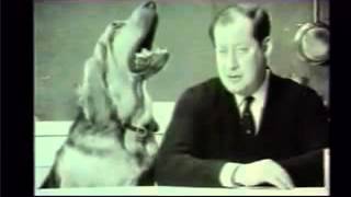 Sir Clement Freud 1924 2009 with his famous Dog Food Advert featuring Henry the dog [upl. by Fancy]