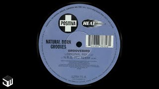 Natural Born Grooves  Groovebird Original Mix 1997 progressivehouse house vinylcollection [upl. by Horatio]