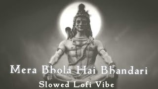 Mera Bhola Hai Bhandari ll slowed Lofi ll Mahashivratri special 🙏 [upl. by Ikceb860]