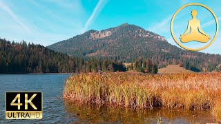 Lake Spitzing  4K UHD  60FPS  Pure Nature Sound Spitzingsee [upl. by Nikral]