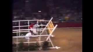 World Record Horse High Jump 2 32 meters [upl. by Craggie121]