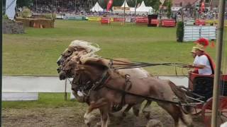 Titanen der Rennbahn in Brück 2017 Römerwagen Rennen [upl. by Robinet]