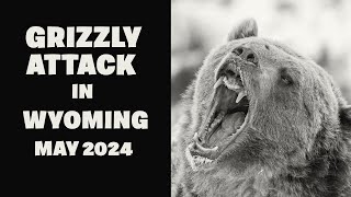 Grizzly Attack in Wyoming May 2024 [upl. by Felton]