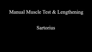 Manual Muscle Test amp Lengthening  Sartorius [upl. by Enilamme]