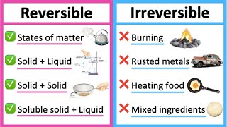 Reversible vs irreversible changes 🤔  Whats the difference  Learn with examples [upl. by Ybbed18]