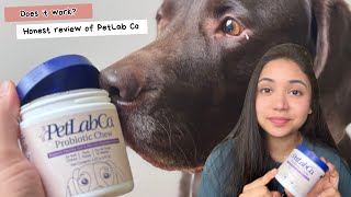 I tried PetLab Cos Probiotic chews for my ItchGrass eatingPaw licking DogHonest dog owner review [upl. by Alecram]