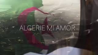 LAlgérino ALGERIE Mi Amor instrumental Lettre damour à mon pays [upl. by Merci]