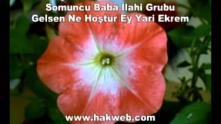 Somuncu Baba İlahi Grubu Gelsen Ne Hoştur Ey Yari Ekrem http www hakweb com YouTube [upl. by Hamas]