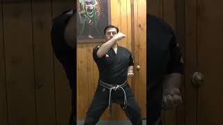 Blocking Set 1 in Kenpo Karate  Yellow Belt Kenpo Requirements kenpo kenpokarate martialarts [upl. by Asaert259]