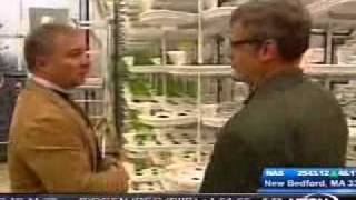 Jim Bouldin Looks at Vertical Farming at Paignton Zoo [upl. by Atikahc]