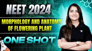 Morphology and Anatomy of Flowering Plants  One Shot  NEET 2024  Seep Pahuja [upl. by Collin165]