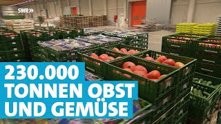 Großhandel im größten Anbaugebiet Deutschlands  der Pfalzmarkt [upl. by Idnem466]