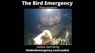 081  The Plainswanderer with Saskia Gerhardy [upl. by Ibrik454]