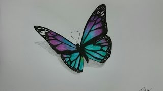 How to Draw a Realistic Butterfly with Colored Pencils [upl. by Holly791]